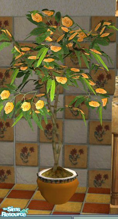 Sims 2 — plant by 15pupmaus49 — ficus and roses