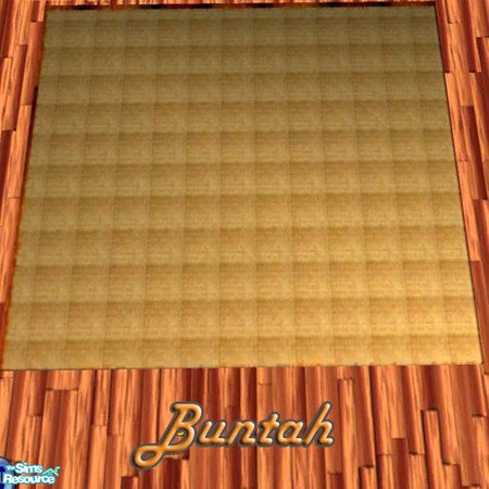 Sims 2 — Tan Woven Mat rug by buntah — This mat matches the placemats in this set. It requires either Echo's or