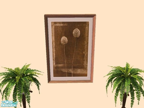 Sims 2 — Paintings Flowers Sephia 2 by Mutske — 3 Paintings. Flowers in Sephia.