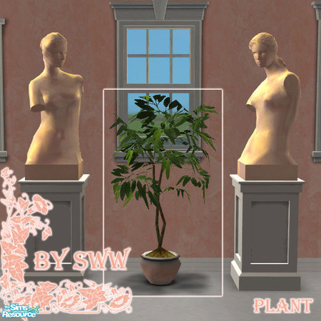 Sims 2 — Bridal plant by sww — made by sww