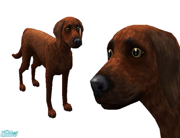 Sims 2 — Paradise -  Havanna by steffor — 