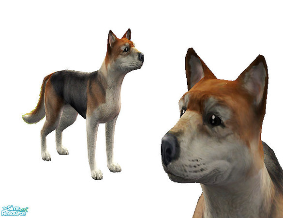 Sims 2 — Paradise - Linus by steffor — 