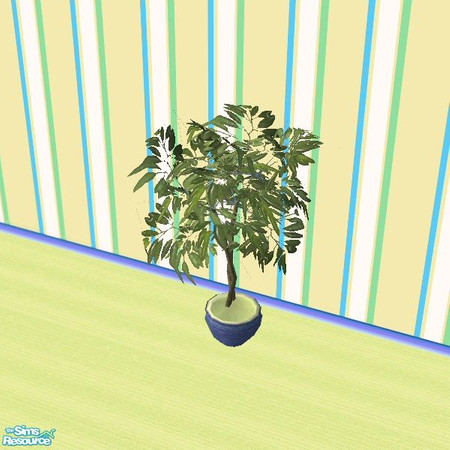 Sims 2 — Tropical Flora Fig Tree by paulajedi — Tropical Flora fig tree. 