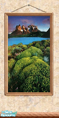 Sims 2 — Picture 72 by Lorah — Picture on full wallpaper wall.