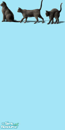 Sims 2 — Cat Lover by SROBERTS427 — By Sabrina