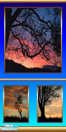 Sims 2 — Trees At Sunset by snowkattx1 — Blue wallpaper with pictures of trees at sunset