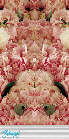 Sims 2 — roses by The_Unicorn — very romantic, yes am on that tour, for now...