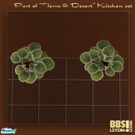 Sims 2 — Terra & Desert Kitchen, Plant by BetterbeSim — A cute little plant in a hanging basket. By BetterbeSim. Do