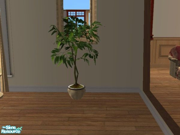 Sims 2 — Wicker Plant Pot by toriamos — Only the pot is recolored. Need CEP installed.