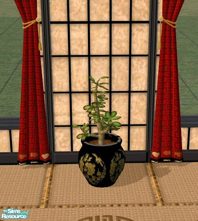 Sims 2 — Oriental Jade Pot by Nikki041498 — Just like the fig tree...only the pot is different. Black porcelain with