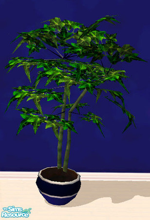 Sims 2 — Fairy Flower 1 by solfal — Matches the Fairy and Summer sets