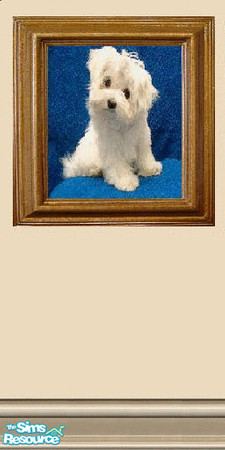 Sims 2 — special collection... by The_Unicorn — special for my mother, this is her doggy... named Lady