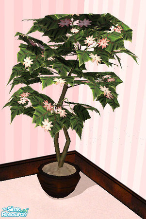 Sims 2 — Walnut pink flower by solfal — Matches the walnut bedroom, with pink flowers
