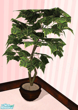 Sims 2 — Walnut flower by solfal — A flower that matches the walnut bedroom