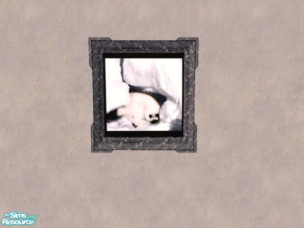 Sims 2 — Painting - Seal by Bitzybus — Painting - seal. A cute seal painting. 