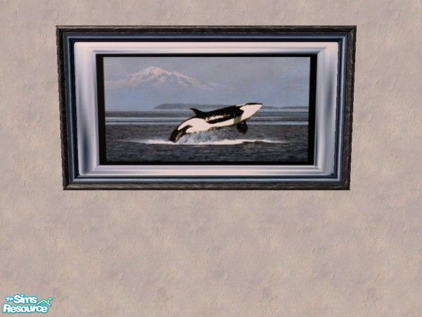 Sims 2 — Painting - Orca by Bitzybus — Painting - Orca. Big painting with an Orca. 