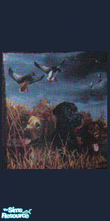 Sims 2 — hunting dogs by ead425 — like hunting; here's your labs