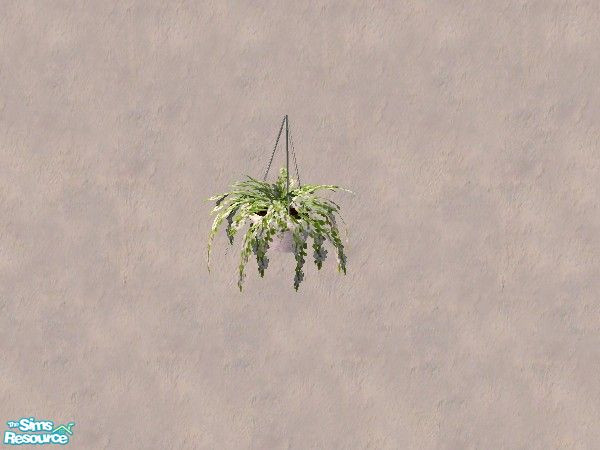 Sims 2 — Falling Fern plant 1 by Bitzybus — A makeover for the falling Fern plant. White flowers.