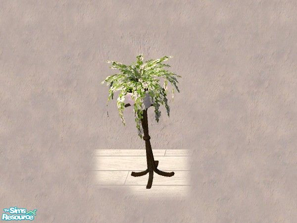 Sims 2 — Fern plant 1 by Bitzybus — A makeover for the Fern plant. White flowers.