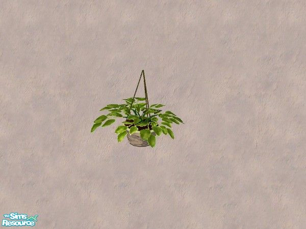 Sims 2 — Hosta La Vista plant 2 by Bitzybus — A makeover for the Hosta La Vista plant. New leaves and new pot color.