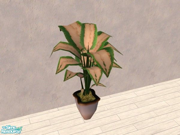 Sims 2 — Philodendron plant 2 by Bitzybus — A makeover for the philodendron plant. Multi colored leaves in green and a