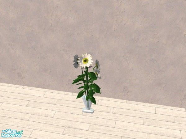 Sims 2 — White sunflowers by Bitzybus — Sunflowers recolored white.