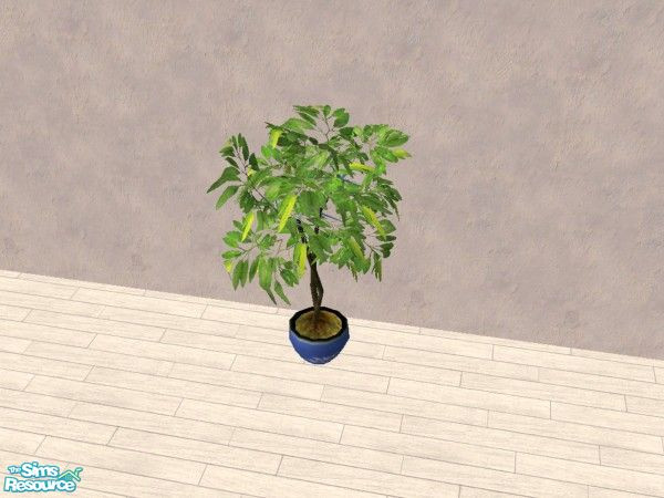Sims 2 — Blue pot Fig Tree by Bitzybus — Blue pot for the fig tree and some color change on the foliage with some blue