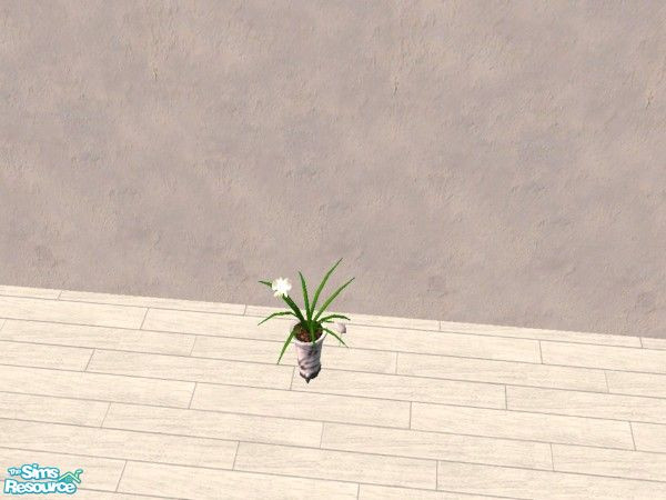 Sims 2 — White orchid by Bitzybus — White orchid with pot to match.