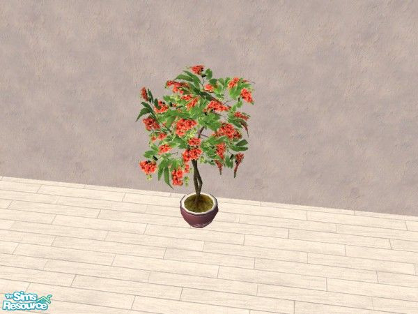 Sims 2 — Red Flower Fig Tree by Bitzybus — The fig tree with some red flowers.
