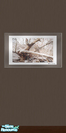 Sims 2 — Wall of Art Set, color Tan with photo-ar by BetterbeSim — Wall with photo-art under an acrylic cover. Use it as