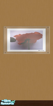 Sims 2 — Wall of Art Set, color Goldenrod with ph by BetterbeSim — Wall with photo-art under an acrylic cover. Use it as