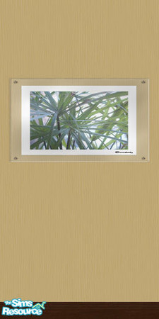 Sims 2 — Wall of Art Set, color Wheat with photo- by BetterbeSim — Wall with photo-art under an acrylic cover. Use it as