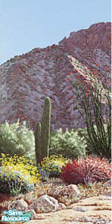 Sims 2 — MC Desert In Bloom 01 by mistresscris — Created by MistressCris