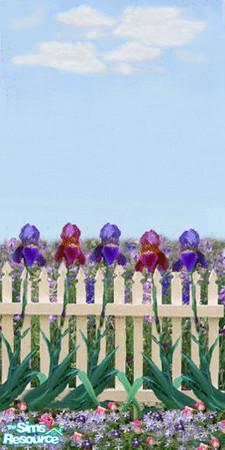 Sims 2 — Picket Fences by WingedEnchantrez — A white picket fence set, bordering on a beautiful garden of larkspurs,