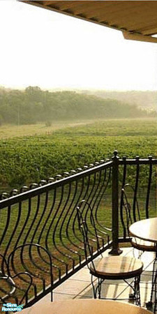 Sims 2 — Vineyard Wall Mural - Panel 1 by TrailRunner782 — A view of the vineyard at Spring Valley from the patio. Panel
