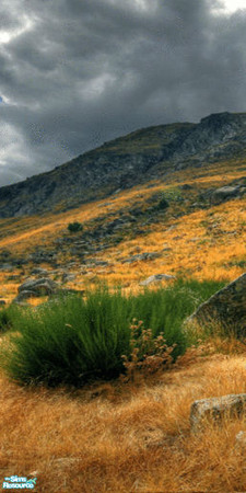 Sims 2 — Glacier Vale House Wall Mural - Panel 2 by TrailRunner782 — A house in the mountains. Panel 2