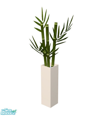 Sims 2 — Ador Office - Bamboo by Murano — Bamboo sticks in cubic-shaped white vase.