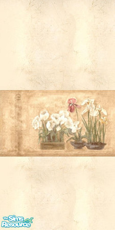 Sims 2 — Beige wallpaper with large border by Vexy — Beige wallpaper with a large floral border.