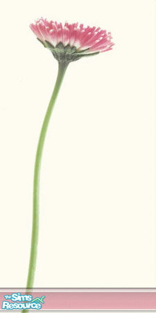 Sims 2 — Single flower by rimadre — Just a single flower