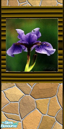 Sims 2 — Irises on stone by buntah — Brown stone wall with irises