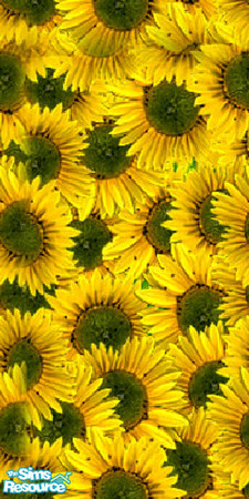Sims 2 — Sunflowers by Phadrae — A bright sunflower wallpaper for your nature loving Sims!