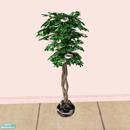 Sims 2 — Plant - part of set by Bitzybus — Plant with white flowers, part of "White Leopard living room set". 