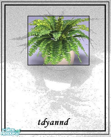 Sims 2 — TC 97 Compassion - Plant by tdyannd — Shakeshaft\'s \'Isabel Naturals\' mesh featuring textures provided by