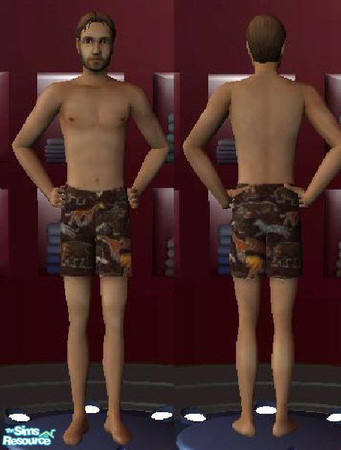 Sims 2 — Africa Swimsuit by Carrigon — An African animal patterned swimsuit for an adult male.