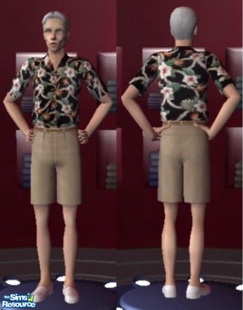 Sims 2 — Tropical by brisbaneace — All Older men, like a bit of colour in there life.