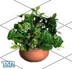 Sims 1 — Florentino Plant by Bea — Part of the Florentino Livingroom Set.