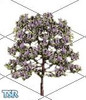 Sims 1 — Ornamental Shrub by Audrey_May — Add this flowering shrub to your Sims' yards and watch their neighbors grow