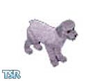 Sims 1 — Poodle Olga by WickedDarling — 