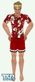 Sims 1 — Hawaiian Style - Guy by PBearCreations — Some casual threads to wear at the beach or to a luau. Gotta catch that