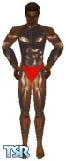 Sims 1 — Bodybuilder by Cyber GELF — This Skin (Bodybuilder) Compliments of Cyber GELF.